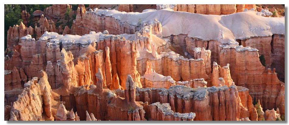Bryce Canyon (Utah - USA)